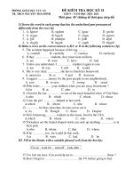 ĐỀ KIỂM TRA HỌC KỲ II LỚP 9 – NĂM HỌC 2010- 2011 pptx