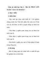 Giáo án sinh học lớp 6 - Bài 24: PHẦN LỚN NƯỚC VÀO CÂY ĐI ĐÂU? pot