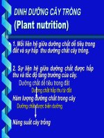 Dinh duong cay trong doc