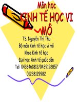 Lí thuyết kinh tế vi mo chương 1 ppsx