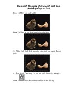 Giáo trình tổng hợp những cách pick ảnh nền bằng shapren tool phần 1 potx