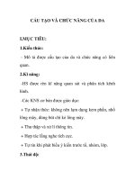 CẤU TẠO VÀ CHỨC NĂNG CỦA DA docx