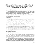 Giáo trình hình thành quy trình điều khiển kỹ thuật tổ chức phát triển tài nguyên thiên nhiên vùng tây nam bộ p1 pptx