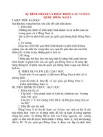 Giáo án Lịch Sử lớp 10: SỰ HÌNH THÀNH VÀ PHÁT TRIỂN CÁC VƯƠNG QUỐC ĐÔNG NAM Á pdf