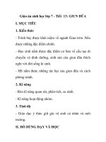 Giáo án sinh học lớp 7 - Tiết 13: GIUN ĐŨA pot