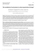 Báo cáo lâm nghiệp: 