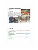 Chương 12: Hệ thống bánh răng docx