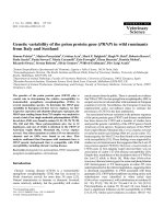 Báo cáo khoa học: 