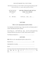 MẪU QUYẾT ĐỊNH ĐIỀU TRA VỤ VIỆC VI PHẠM pps