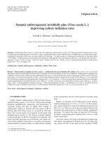 Báo cáo khoa học: 