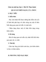 Giáo án sinh học lớp 6 - Bài 18: Thực hành: QUAN SÁT BIẾN DẠNG CỦA THÂN docx