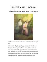 phân tích đoạn trao duyên của chị em thúy kiều