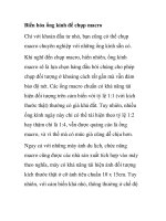 Biến hóa ống kính để chụp macro doc