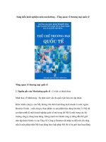 Sáng kiến kinh nghiệm môn marketting – Tổng quan về thương mại quốc tế potx