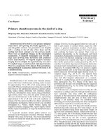 Báo cáo khoa học: 