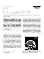 Báo cáo khoa học: 