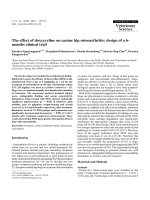 Báo cáo khoa học: 