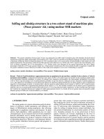 Báo cáo lâm nghiệp: