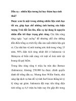 Dầu cọ – nhiên liệu tương lai hay thảm họa sinh thái? pps