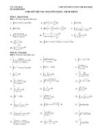 Chuyên đề VII: Nguyên hàm, tích phân pot