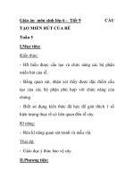 Giáo án môn sinh lớp 6 - Tiết 9 CẤU TẠO MIỀN HÚT CỦA RỄ potx