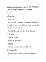 Giáo án môn sinh lớp 6 - Tiết 3 CÓ PHẢI TẤT CẢ CÁC THỰC VẬT ĐỀU CÓ HOA? pps