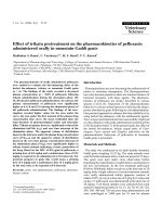 Báo cáo khoa học: 