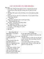 Giáo án Sinh Học lớp 10: CÁC CẤP TỔ CHỨC CỦA THẾ GIỚI SỐNG potx