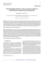 Báo cáo lâm nghiệp: 