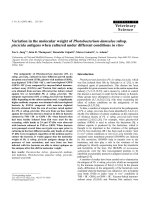 Báo cáo khoa học: 