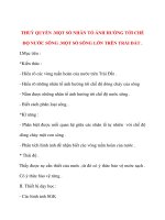 Giáo án Địa Lý lớp 10: THUỶ QUYỂN .MỘT SỐ NHÂN TỐ ẢNH HƯỞNG TỚI CHẾ ĐỘ NƯỚC SÔNG .MỘT SỐ SÔNG LỚN TRÊN TRÁI ĐẤT potx