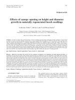 Báo cáo khoa học: 