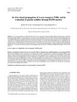 Báo cáo lâm nghiệp: 