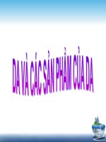 Da và các sản phẩm của da pdf