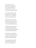 Áo lụa Hà Đông ppsx