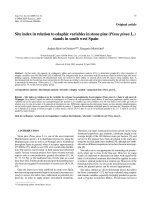 Báo cáo lâm nghiệp: 