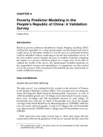 Poverty Impact Analysis: Approaches and Methods - Chapter 4 ppt