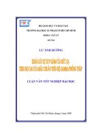 Khảo sát sự suy giảm của bức xạ theo độ cao của mẫu chuẩn trên hệ gamma phông thấp