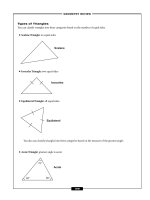 Algebal review 4 pot