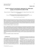 Báo cáo lâm nghiệp: 