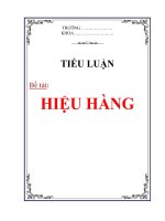 Tiểu luận: Hiệu hàng potx