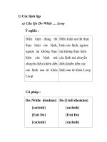 Các lệnh lặp pps