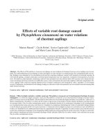 Báo cáo khoa học: 