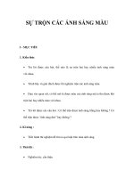 SỰ TRỘN CÁC ÁNH SÁNG MÀU pptx