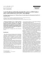 Báo cáo khoa học: 