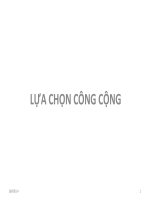 Lựa chọn công cộng ppt