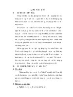 SÁNG KIẾN KINH NGHIỆM LỨA TUỔI TIỂU HỌC - 2 pps