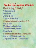 Cau hoi trac nghiem sinh ly thuc vat C6 doc