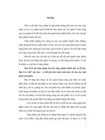 Nghiên cứu bao bì chất dẻo và ứng dụng sản xuất bao bì chất dẻo của nhãn hiệu dầu ăn marvela