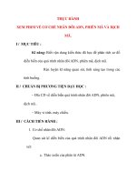 Giáo án Sinh Học lớp 12 Ban Tự Nhiên: THỰC HÀNH XEM PHIM VỀ CƠ CHẾ NHÂN ĐÔI ADN, PHIÊN MÃ VÀ DỊCH MÃ. pdf